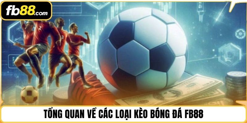 Tổng quan về các loại kèo bóng đá FB88